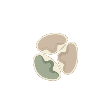 Compreensão e estratégia