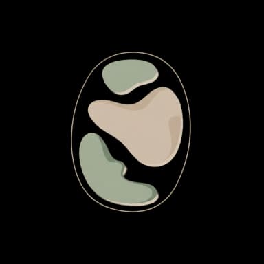 Recursos complementares